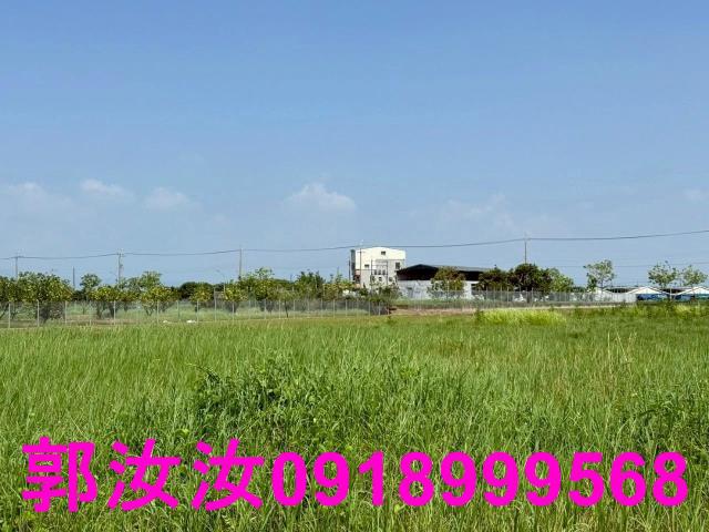 麻豆農地-7