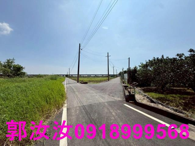 麻豆農地-8