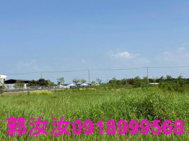麻豆農地-9