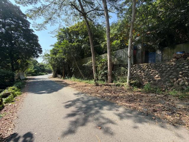 台中林地-6