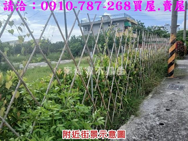 台南麻豆農地-15