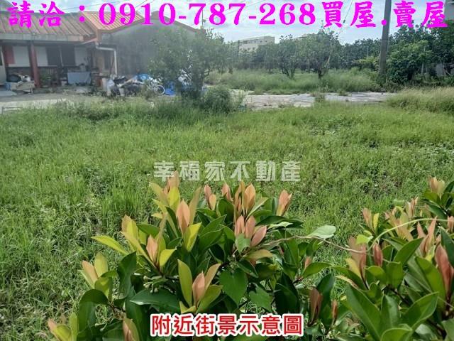 台南麻豆農地-8