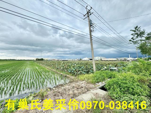 白河農地-13