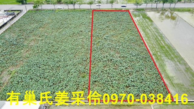 白河農地-2