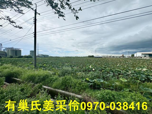 白河農地-9