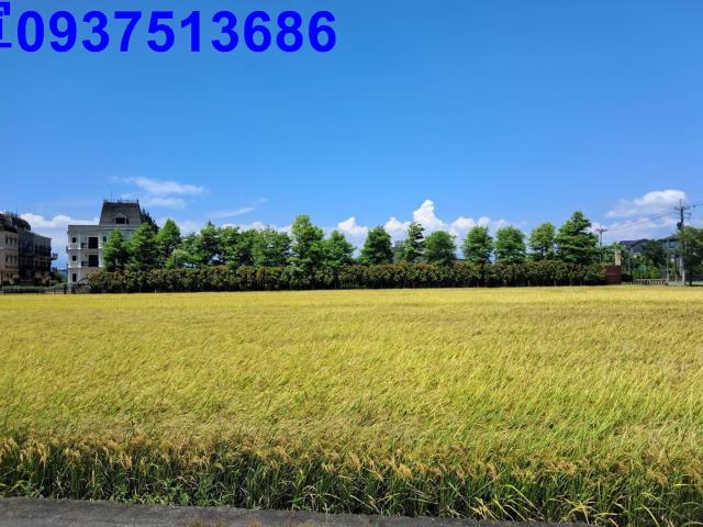宜蘭壯圍農地-7