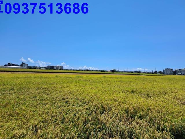 宜蘭壯圍農地-2
