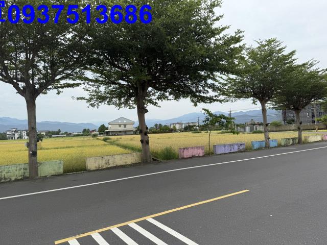 宜蘭員山農地-9
