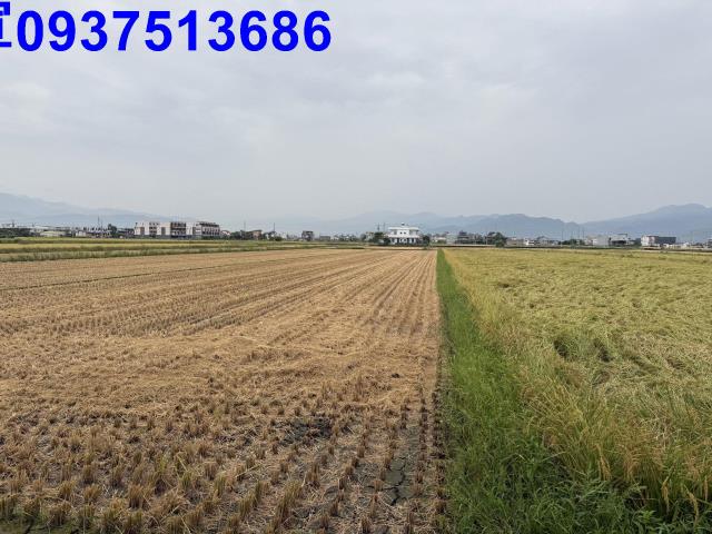 宜蘭壯圍農地-12