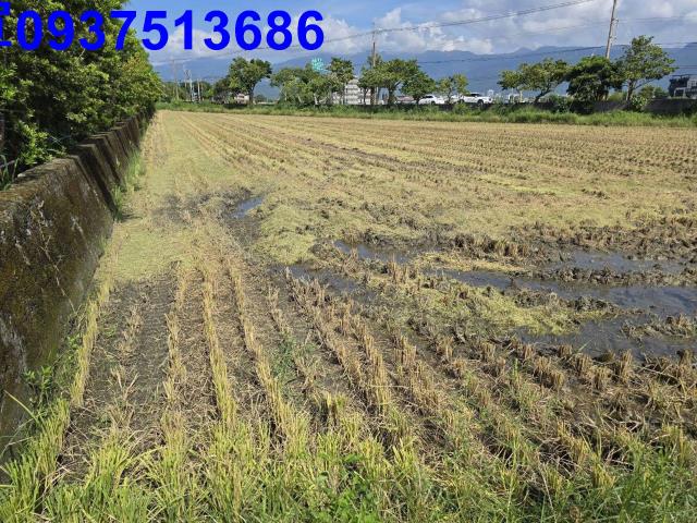 宜蘭壯圍農地-3