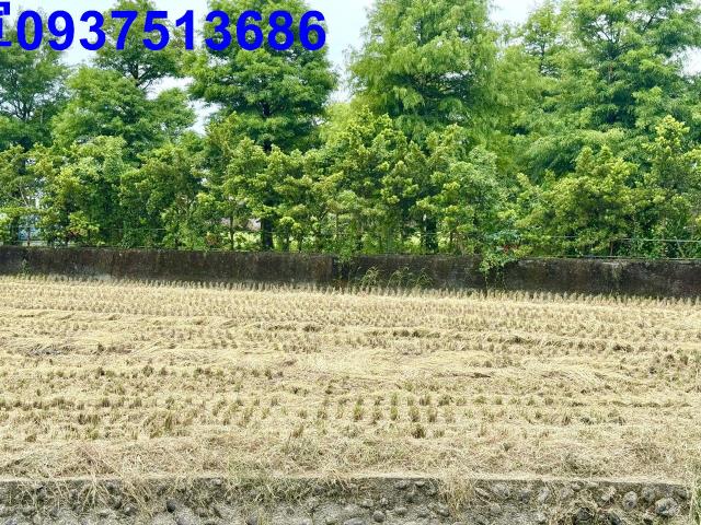 宜蘭壯圍農地-8