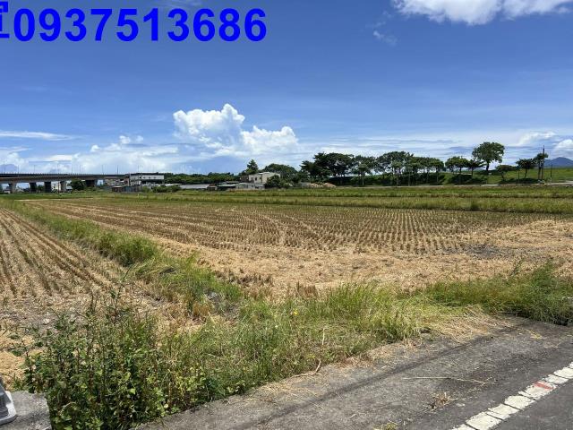 宜蘭壯圍農地-5