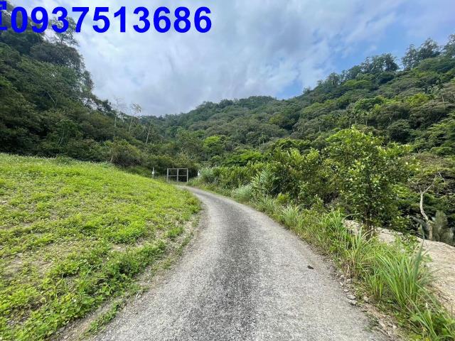 礁溪山坡地-14