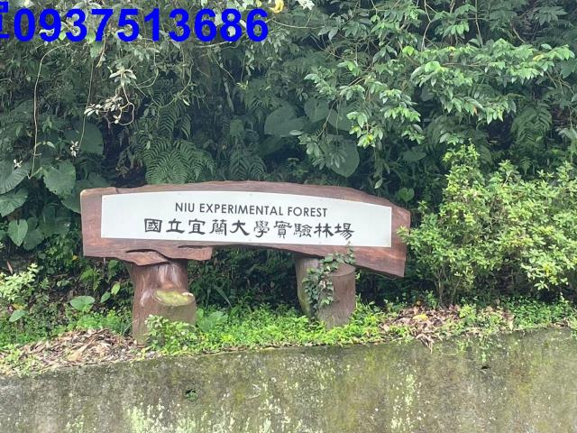 礁溪山坡地-10