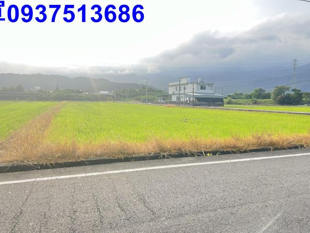 礁溪農地-1