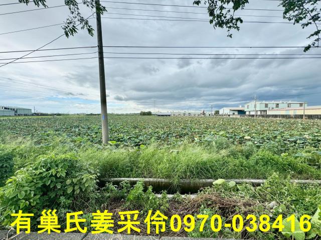 白河農地-15