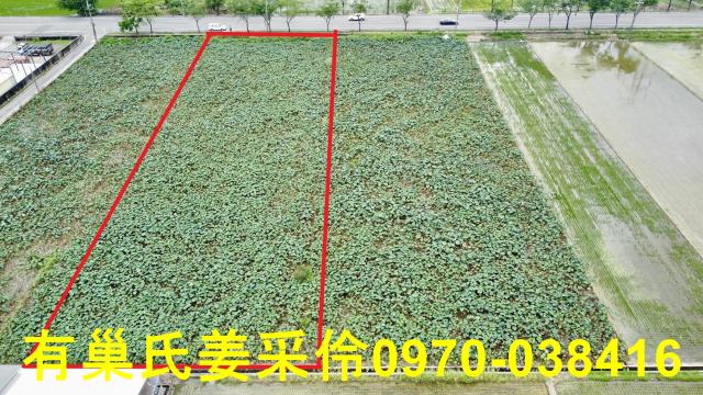 白河農地-1