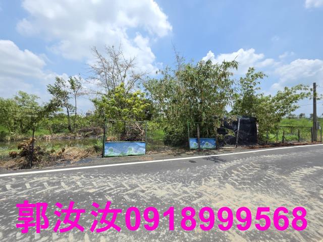 台南六甲農地-4