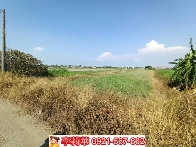 將軍農地-15
