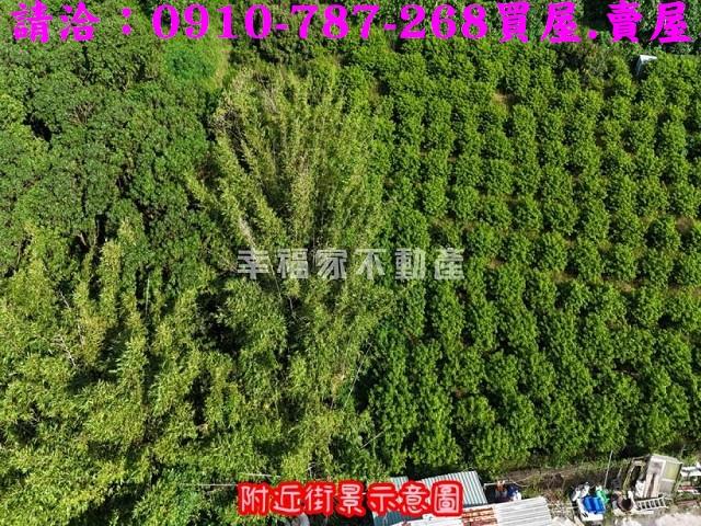 台南農地-11