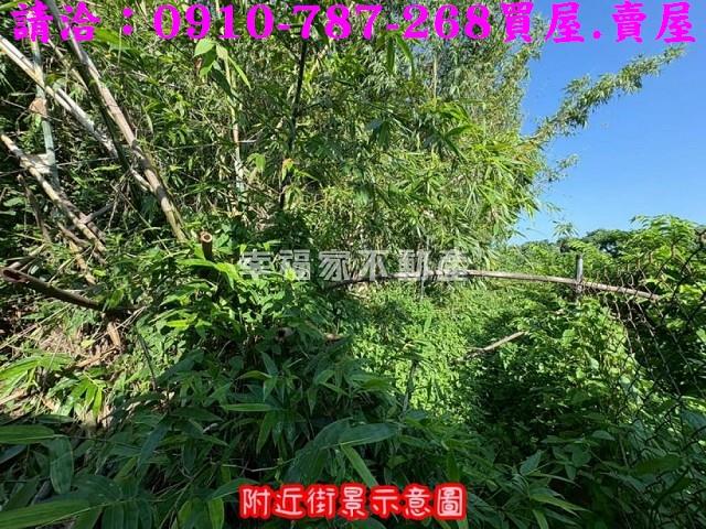 台南農地-12