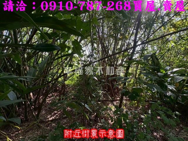 台南農地-14