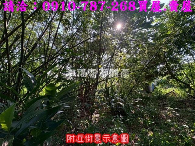 台南農地-15