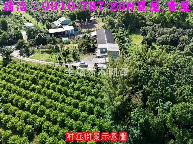 台南農地-2