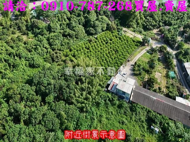 台南農地-4