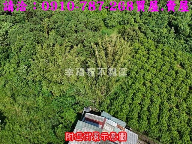 台南農地-6