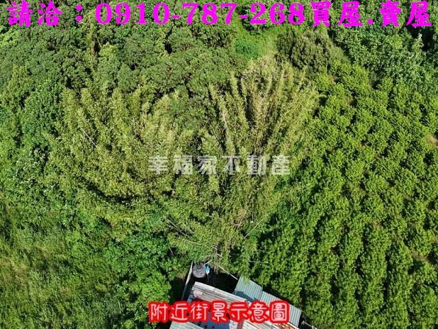 台南農地-7