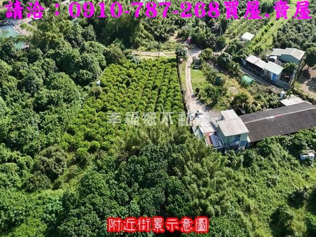 台南農地-9
