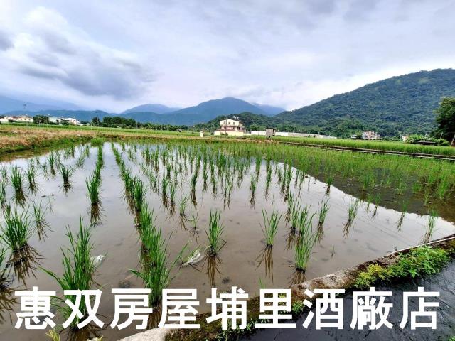 南投埔里農地-1