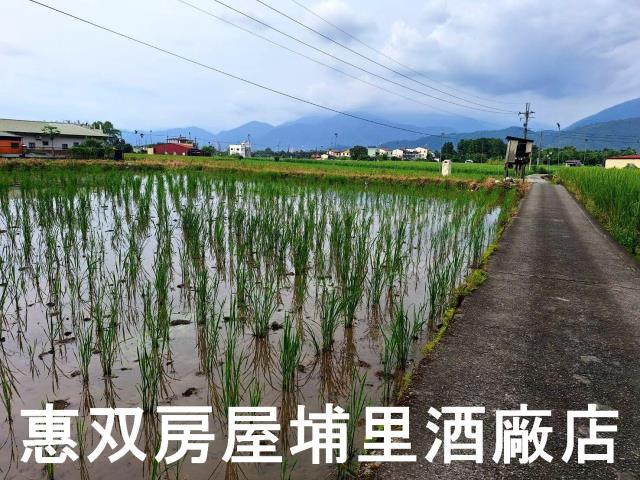 南投埔里農地-5