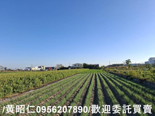安定農地-4