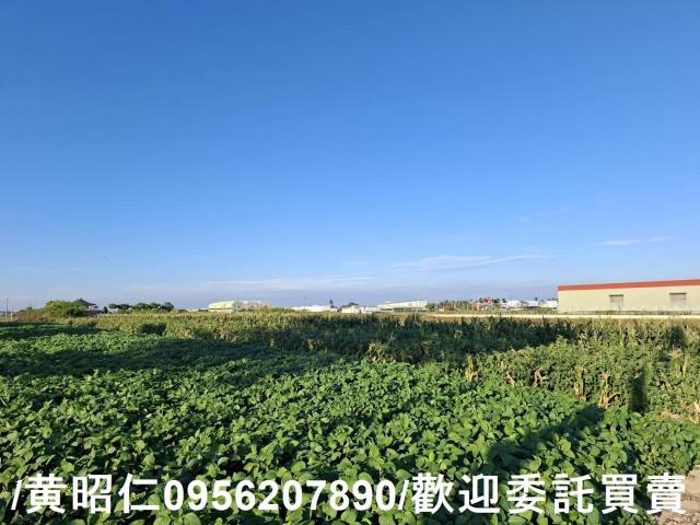 安定農地-7