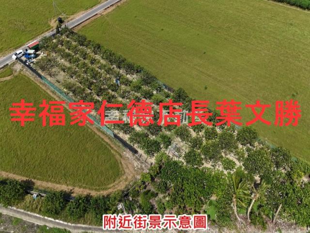 麻豆農地-12