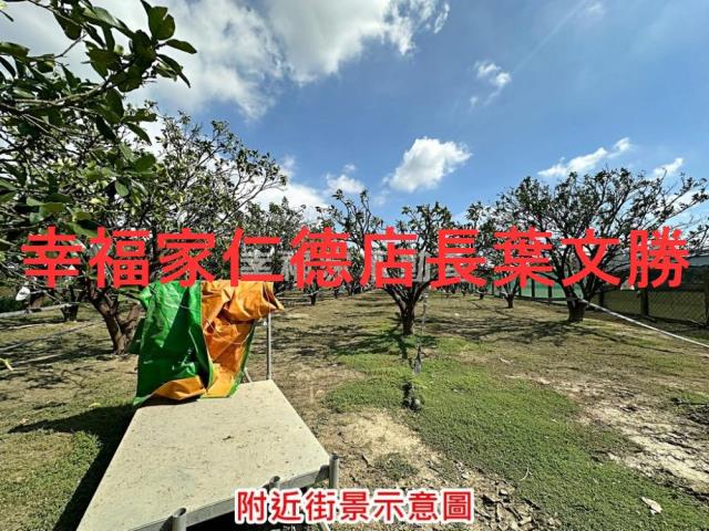麻豆農地-13