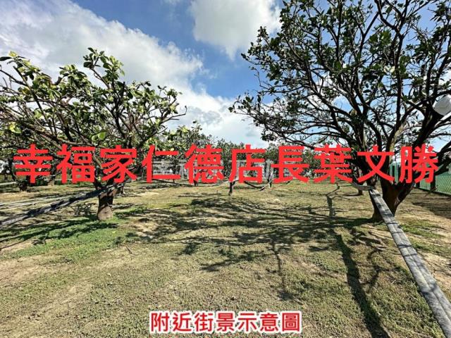 麻豆農地-6