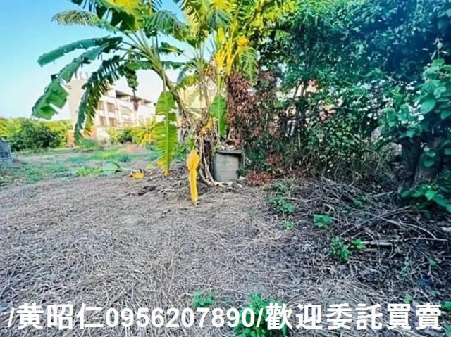 新化建地-12
