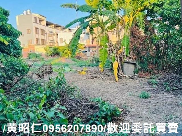 新化建地-9