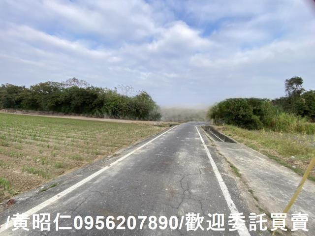 新市農地-8