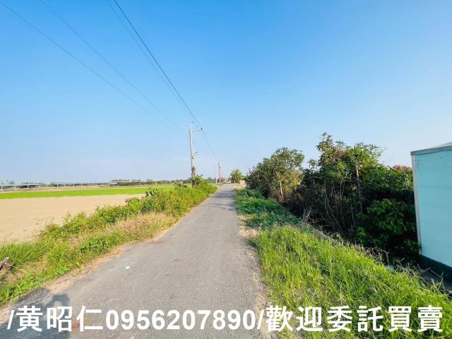 佳里農地-10