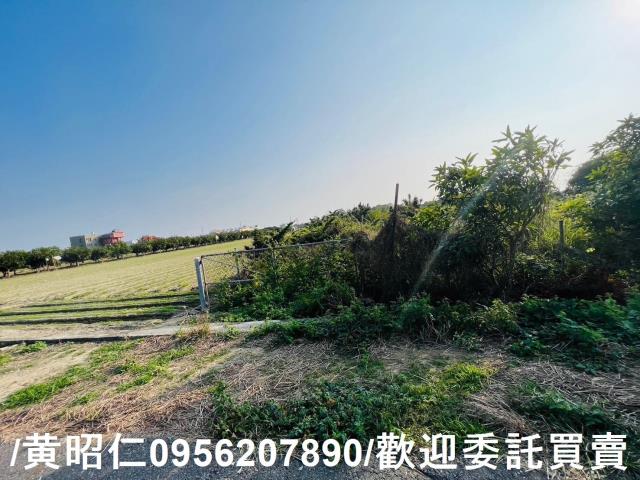 佳里農地-13