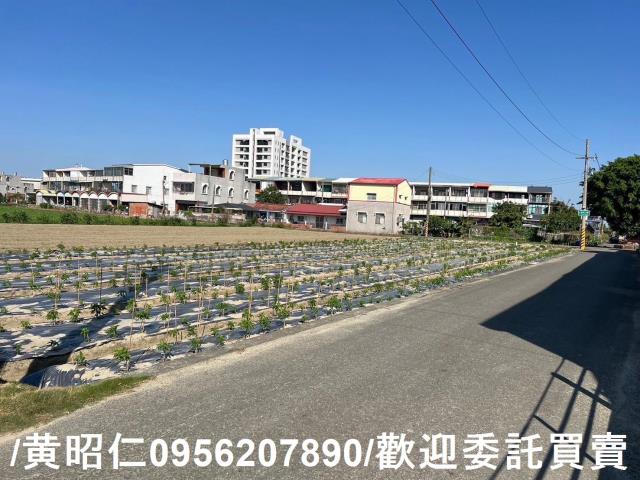 佳里農地-3