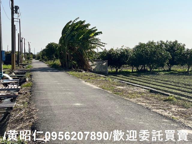 佳里農地-5