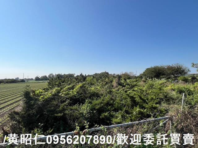 佳里農地-9