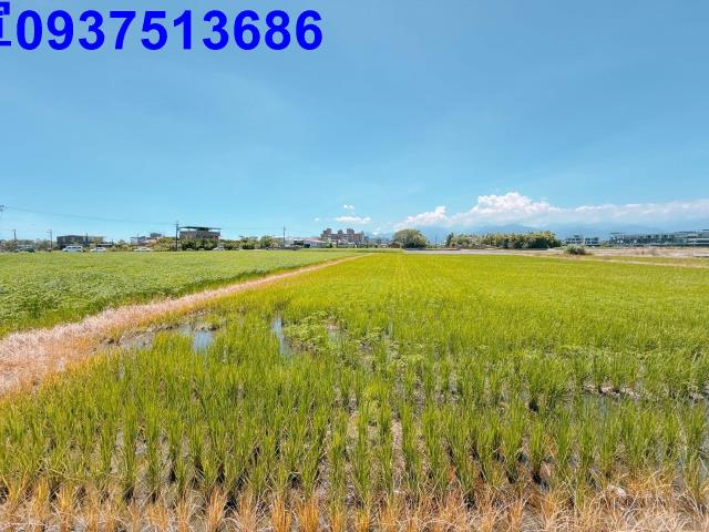 宜蘭農地-1