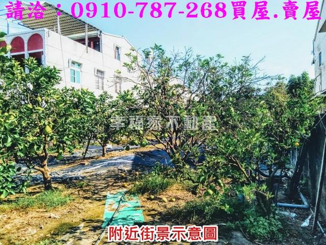 台南麻豆農地-10