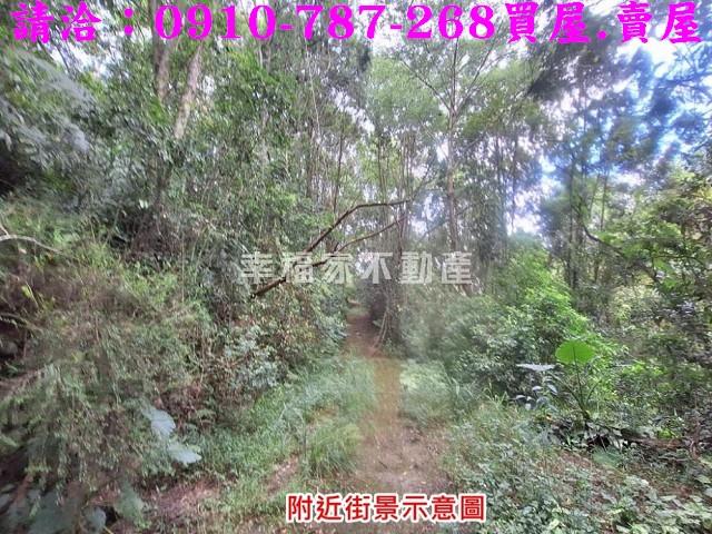 南投埔里農地-12